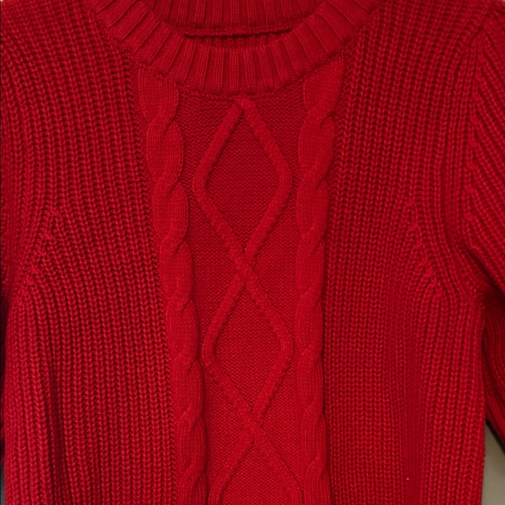 GAP Scarlet Crew Neck Sweater - Picture 2 of 6